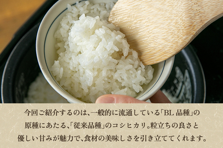 【令和7年産新米先行予約】新潟県産コシヒカリ 玄米5kg（5kg×1袋）（従来品種） 《9月下旬から順次出荷》 新潟米 お米 こめ コメ ライス ご飯 加茂市 のざきファーム