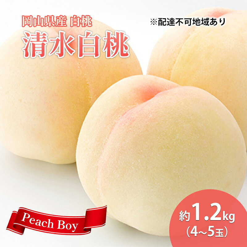 【ふるさと納税】2026年 先行予約 桃 岡山県産 清水白桃 約1.2kg 4～5玉 白桃 岡山 はくとう スイーツ フルーツ 果物 先行予約 数量限定 期間限定 岡山 里庄町 モモ もも 桃 お取り寄せ 贈答用　お届け：2027年7月中旬～2027年8月上旬
