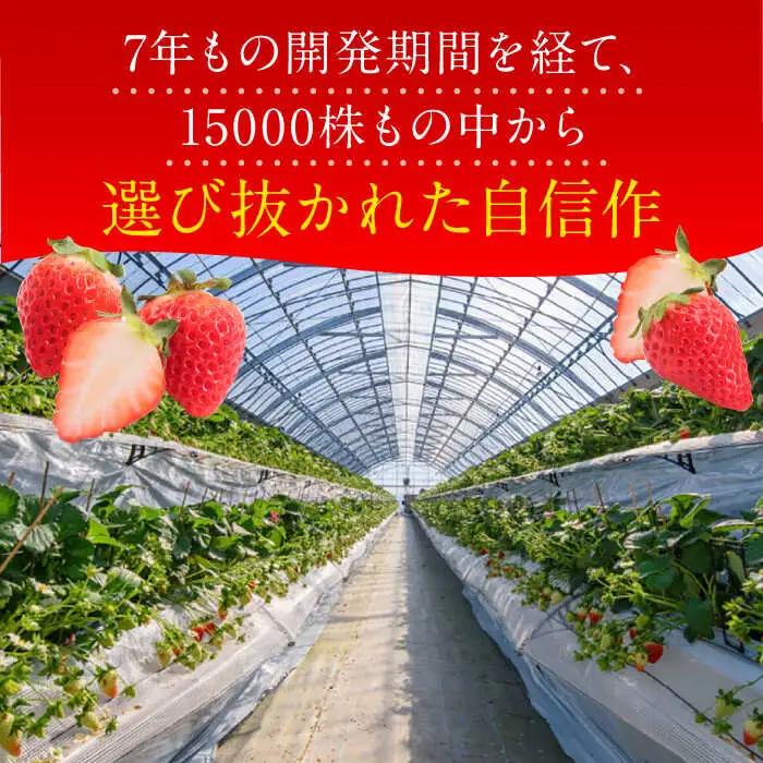 【2027年1月発送開始】いちごさん（450g×2パック） / フルーツ 苺 / 佐賀県 / JAからつ 唐津うまかもん市場 [41ABCA002]