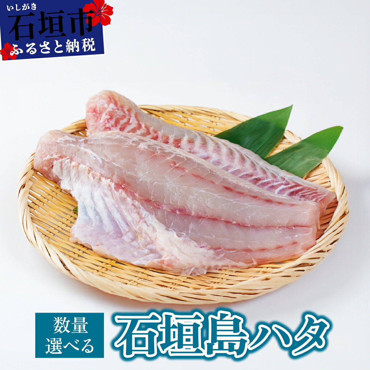 【ふるさと納税】＜選べる容量＞石垣島 ハタ 刺し身 ハーフフィーレ フィーレ 丸ごと1本 | 勝水産 ミーバイ ヤイトハタ 沖縄県石垣市 石垣 沖縄 石垣市 石垣島 ふるさと 人気 送料無料 KS-13 KS-14 KS-15 KS-16