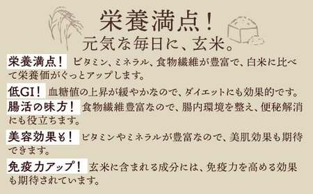 【先行受付】令和7年産新米 コシヒカリ玄米30kg ｜ 米 お米 国産 栃木県 塩谷町 ※2025年12月上旬頃より順次発送予定