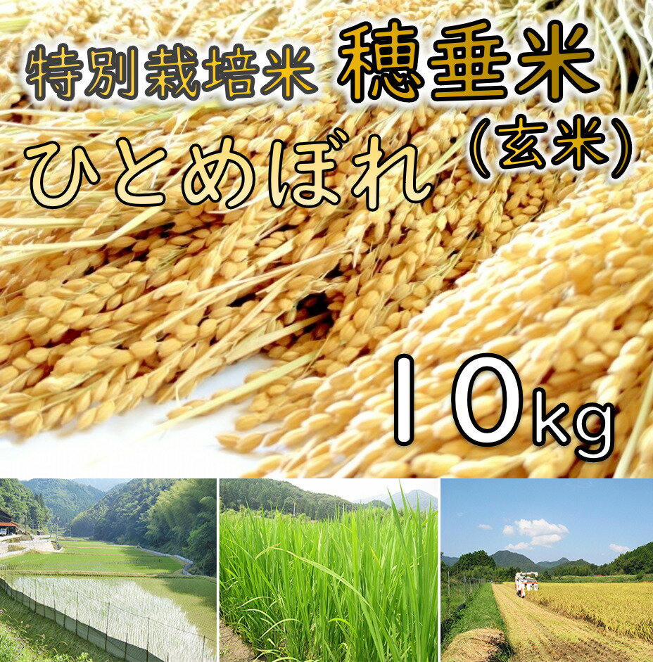 【ふるさと納税】米 玄米 特別栽培米 穂垂米　「ひとめぼれ」 10kg　(1266)