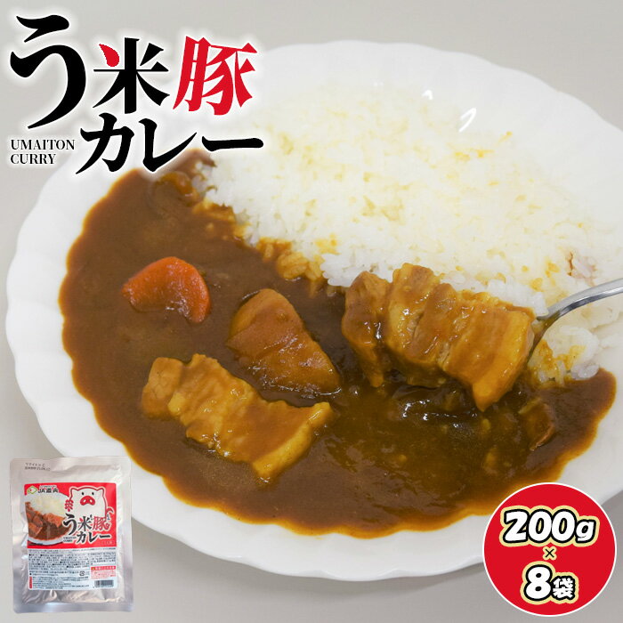 【ふるさと納税】う米豚カレー 200208g袋 レトルトカレー カレー う米豚 8人前 保存食 防災 北海道産 ブランド豚 北海道 ふるさと納税 恵庭市 恵庭【290019】