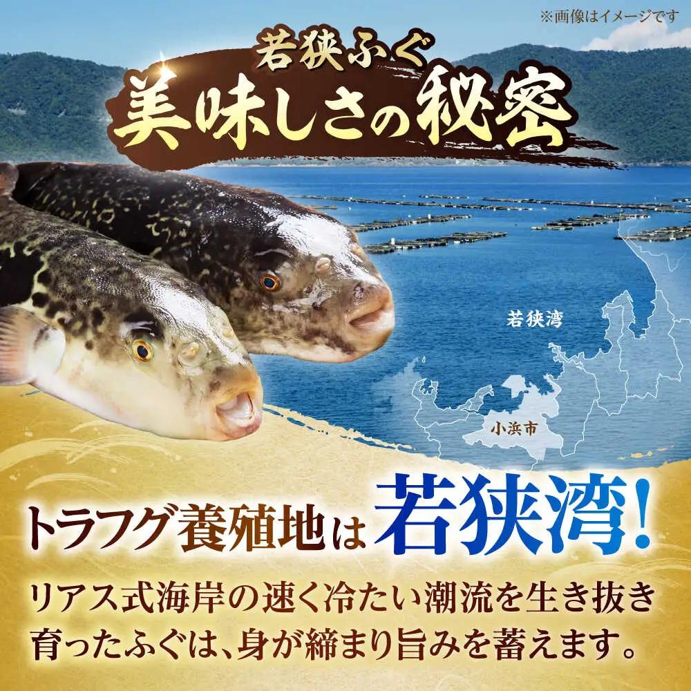 【先行予約/10月19日より順次配送】【着日指定・のし対応可】若狭ふぐ お手軽鍋＆刺身セット 冷蔵 2人前 小浜市 / 阿納ふぐ組合 [BFAC004]