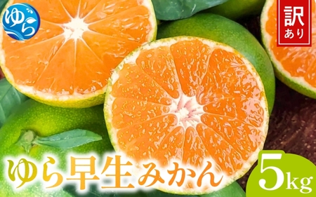 【先行予約】＼訳あり／ ゆら早生みかん 5kg 【2025年10月中旬～順次発送予定】/ みかん ミカン 和歌山県 柑橘 早生 甘い 蜜柑 フルーツ 果物 くだもの 食品  産地直送 由良町 ご家庭用 ゆら早生 早生みかん 【kwgc001】