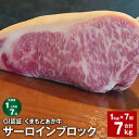 【ふるさと納税】【定期便】【1ヶ月毎7回】GI認証くまもとあか牛 サーロインブロック 計7kg（1kg×7回）サーロイン 牛肉 お肉 肉 ブランド牛 和牛 あか牛 ブロック 九州 国産 冷凍 熊本県 上天草市 送料無料