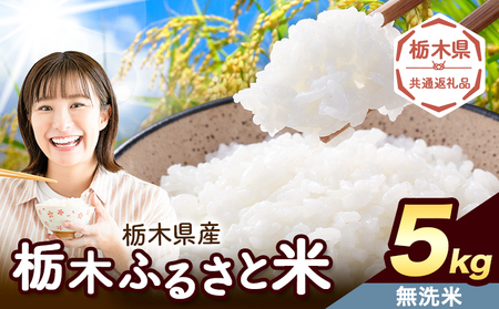無洗米5kg 便利な栃木ふるさと米《7-14日以内に出荷予定(土日祝除く)》おこめ【栃木県共通返礼品】