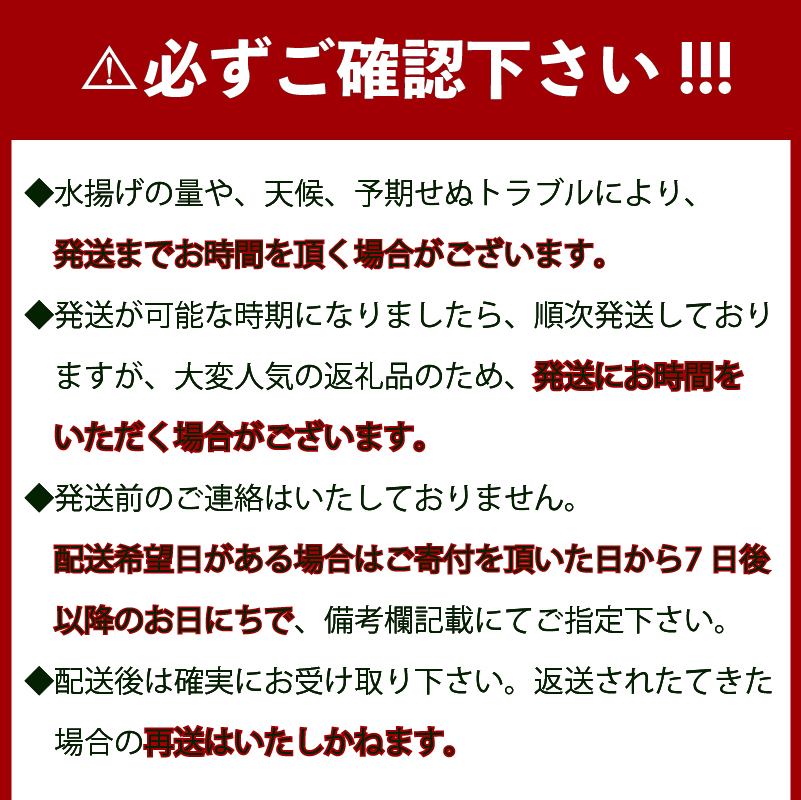 【伊勢海老】 超特大伊勢海老 1匹 1尾(800g以上)