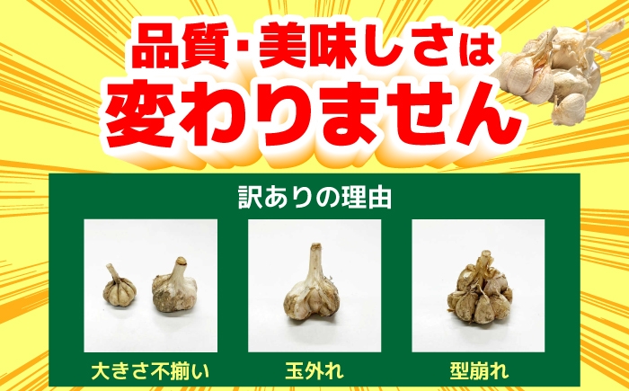 にんにく 高知県産 乾燥 ガーリック 薬味 お取り寄せ 訳あり 先行予約