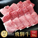 【ふるさと納税】飛騨牛A5 赤身肉 焼肉用 300g モモ 又は カタ 肉 ｜国産 肉 牛肉 焼肉 和牛 黒毛和牛 赤身 グルメ A5等級 おすすめ AD122 【飛騨牛 和牛ブランド 飛騨牛 黒毛和牛 飛騨牛 岐阜 大野町 飛騨牛】