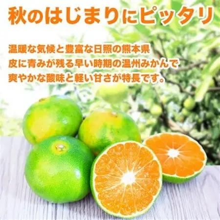 極早生みかん 2S～2L 約10kg(益城町)【1725632】