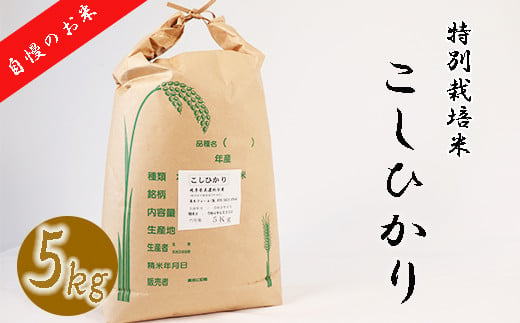 ≪令和6年産≫ 新米 【特別栽培米】 垂井町産 コシヒカリ 5kg