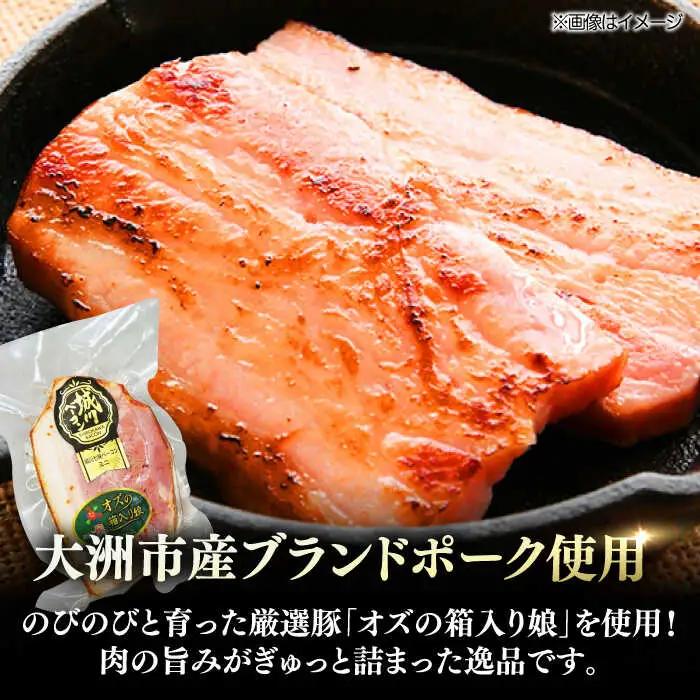 ベーコン ブロック（七味入り）180g×10個セット ベーコン[AGAZ016]