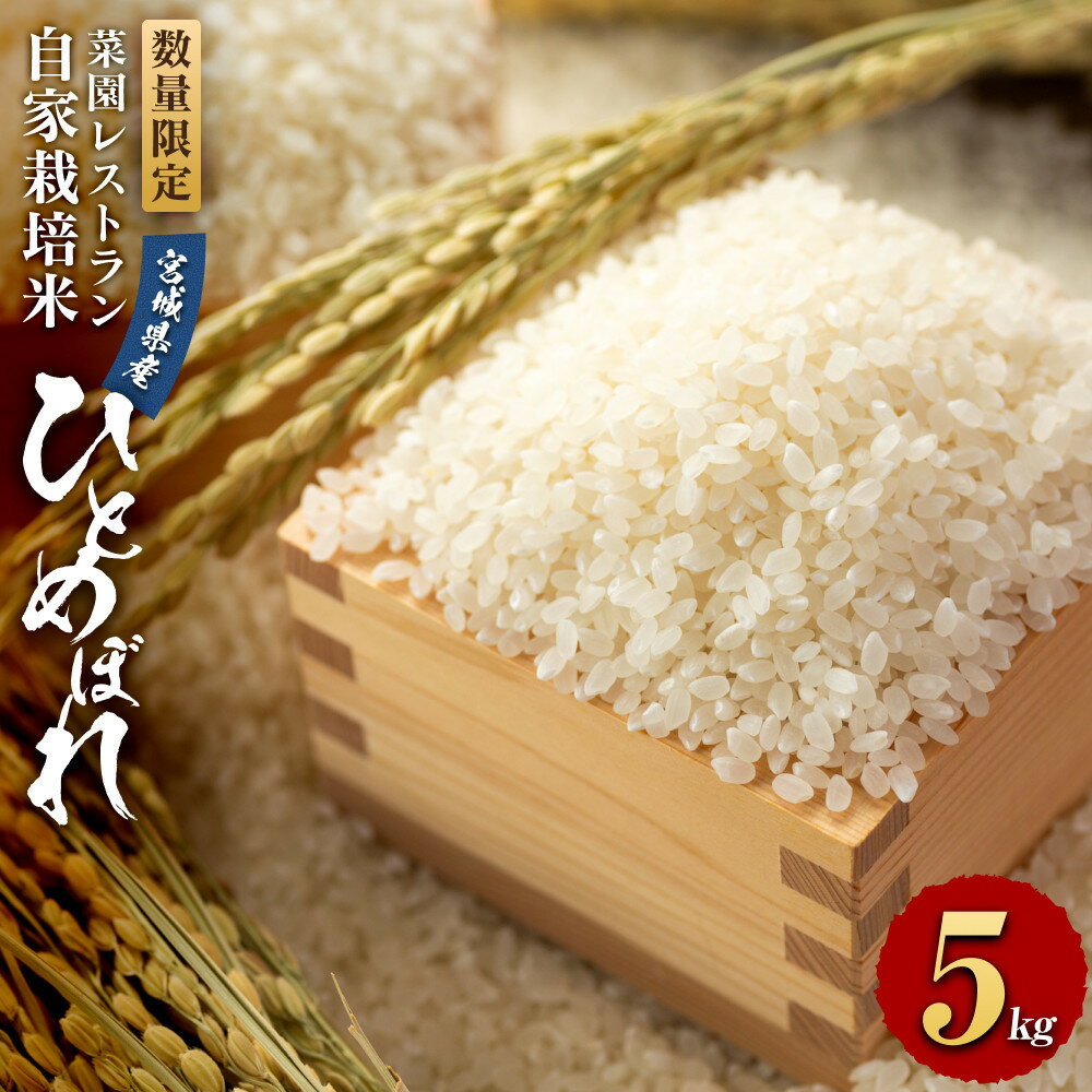 【ふるさと納税】【令和7年産】数量限定　菜園レストラン「野の風」自家栽培米　ひとめぼれ5kg