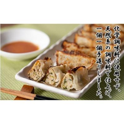 ふるさと納税 花巻市 手造り生餃子3種食べ比べセット (肉・しそ巻き・スタミナにら) 各10個×2パック 合計6パック |  | 01