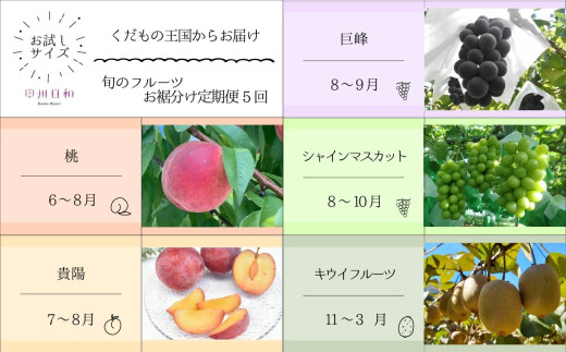 【定期便】旬のフルーツお裾分け定期便5回（KSB）E-109 【桃 もも モモ 貴陽 すもも スモモ 巨峰 シャインマスカット 葡萄 ぶどう ブドウ 期間限定 山梨県産 甲州市 フルーツ 果物】