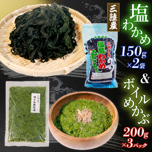 海の幸セット A-2 塩ワカメ150g×2袋 ボイルめかぶ200g×3パック  わかめ メカブ 海藻 海産物