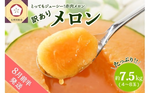 【2026年8月前半発送】【訳あり】メロン 7.5kg 程度 (赤肉4～8玉) 津軽産