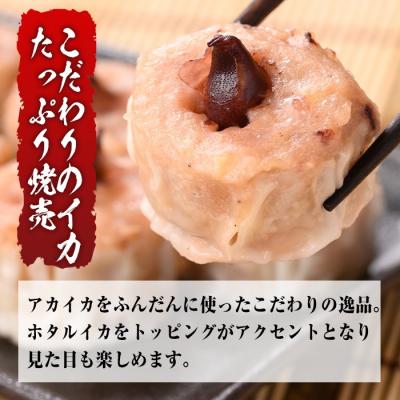 ふるさと納税 境港市 網元のこだわり!いか焼売セット 化粧箱入(8個入×3P) |  | 01