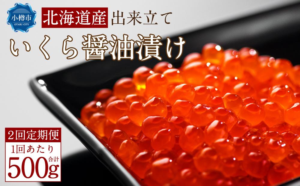 【2回定期便】北海道産 出来立て いくら醤油漬け 250gx2パック 合計500g いくら イクラ