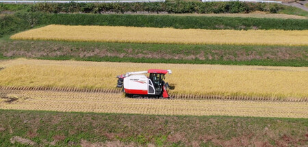 【令和7年度新米】山梨県北杜市産 コシヒカリ 玄米20kg お米 米 玄米 20kg おいしい 粘り 上品な甘さ つや お弁当 おにぎり 山梨県 北杜市