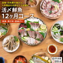 【ふるさと納税】【北海道・離島配送不可】＜定期便・全12回(連続)＞旬の鮮魚(12ヶ月コース)お刺身 お刺し身 魚介 海鮮 漬け丼 ブリ ぶり ヒラメ 真鯛 シマアジ カンパチ マグロ まぐろ サーモン ヒラメ ハマチ お楽しみ コンシェルジュ【AP-46】【日向屋】