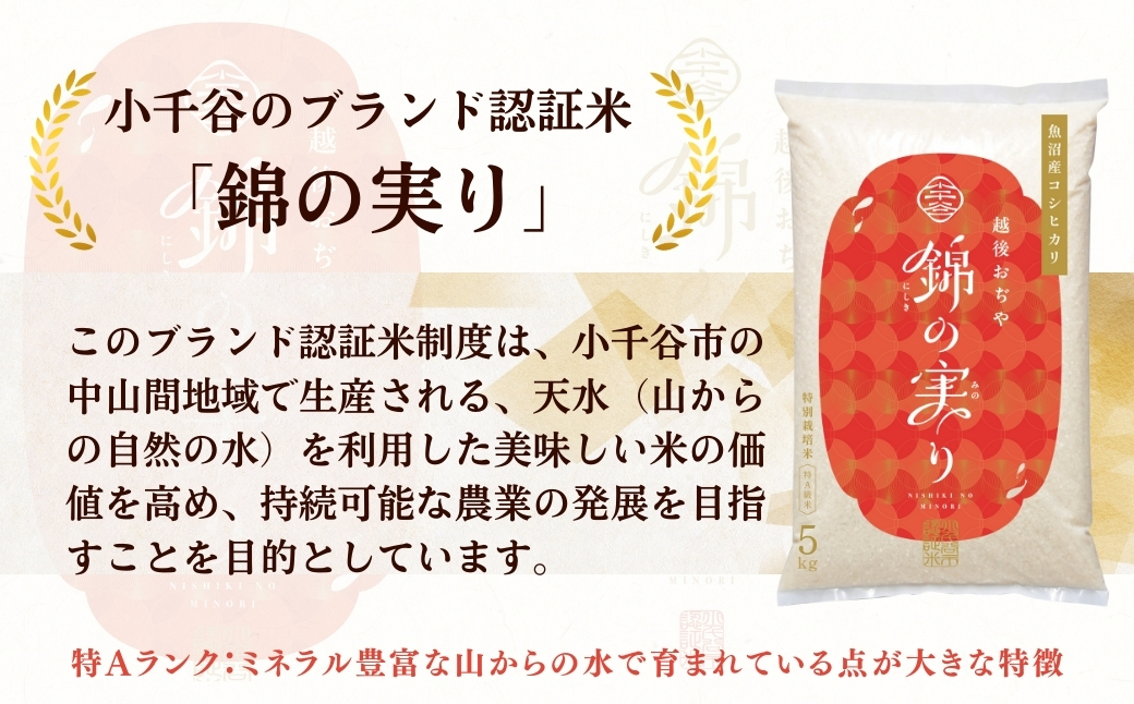 令和8年産 新米 先行予約 魚沼産コシヒカリ 定期便 小千谷市ブランド認証米「錦の実り」特Aランク 精米30kg (5kg×毎月全6回)【0002-OBt05DB00】