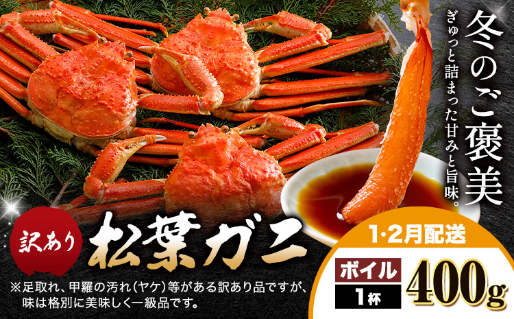【ふるさと納税】カニ 松葉ガニ 訳あり 400g ボイル 1杯《1月・2月発送》 SOO合同会社 鳥取県 八頭町 送料無料  蟹 かに 姿 鍋 ズワイガニ  ズワイ蟹 ボイル 松葉ガニ 訳アリ