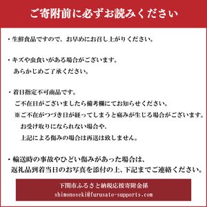 【2026年1月以降順次発送】じゃがいも 10kg デストロイヤー 野菜 農家直送 季節限定 芋 いも下関 IN103