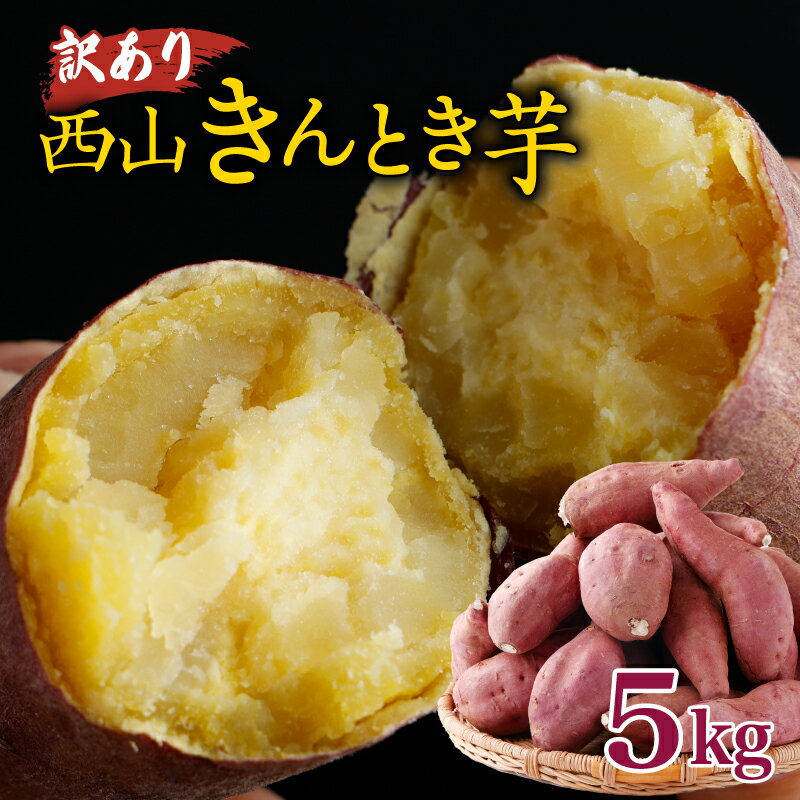 【ふるさと納税】 【訳あり】 西山きんとき芋 5kg ｜ さつまいも 芋 サツマイモ 訳あり わけあり 産地直送 さつま芋 人気 ランキング おすすめ 金時芋 焼き芋 野菜 故郷納税 先行予約 高知県 室戸市