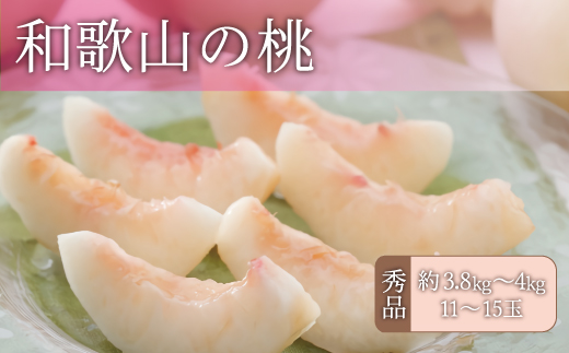 和歌山の桃 秀品 [約3.8～4kg] (サイズ・品種おまかせ) ※2026年6月中旬～2026年8月中旬頃に順次発送予定　紀伊国屋文左衛門本舗 和歌山 もも モモ 桃 果物 フルーツ 人気 産地直送