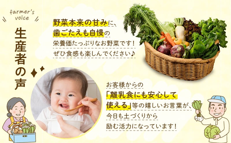 日時指定可能！本日のお野菜セット（サイズ小）
