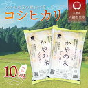 【ふるさと納税】【新米】令和6年産 大網白里市萱野地区産「コシヒカリ」10kg（5kg×2袋） お米 10kg 千葉県産 大網白里市 コシヒカリ 米 精米 こめ 送料無料 A001