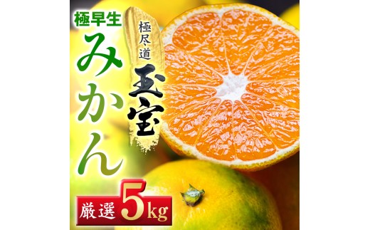 ＜愛媛名産＞極早生みかん＜雫・・小玉＞ 5kg＜C64-23＞【1510676】 YWTY012