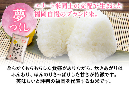 福岡の美味しいお米 夢つくし ＆ 元気つくし 合計5kg 各2.5kg 令和4年度産 福岡県産 白米 お米 ご飯 ごはん 米 精米 おこめ こめ 送料無料