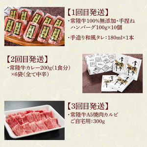 6ヶ月 定期便 常陸牛 Bコース 肉のイイジマ（DU-108）