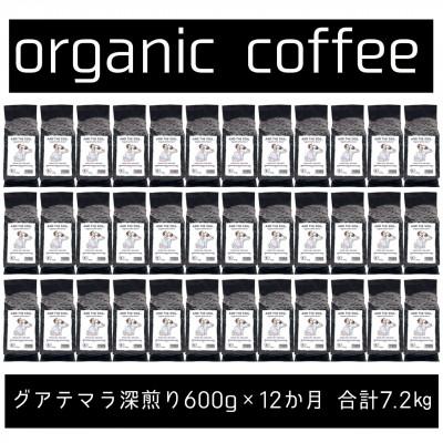 ふるさと納税 福岡市 【毎月定期便】ANDTHESOIL.焙煎オーガニックコーヒー豆GUA深煎り600g ME36全12回