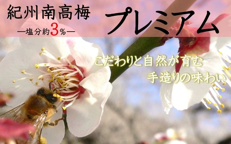 紀州南高梅 プレミアム 塩分約3％ 500g ［YM11m］ 【yamada010A】