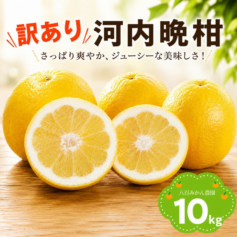 【ふるさと納税】 【 訳あり 】 河内晩柑 10kg 先行予約 （発送期間：4月上旬〜無くなり次第終了） 八百みかん農園 10000円 家庭用 先行 事前 予約 受付 みかん 愛南ゴールド グレープフルーツ 和製 防腐剤不使用 愛媛 産地 直送 国産 農家 期間 限定 数量 愛南 果物 柑橘