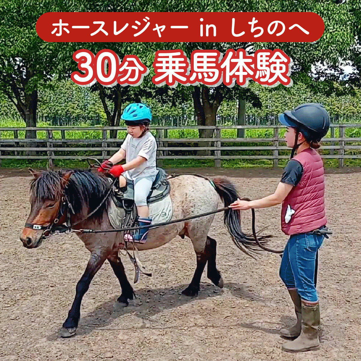【ふるさと納税】ホースレジャーinしちのへ 30分乗馬体験【乗馬 体験 青森県 七戸町】【02402-0346】