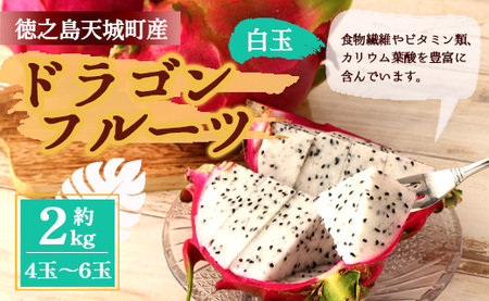 【2025年発送分】ご家庭用 徳之島 天城町産ドラゴンフルーツ 白色 約2kg ピタヤ AJ-35