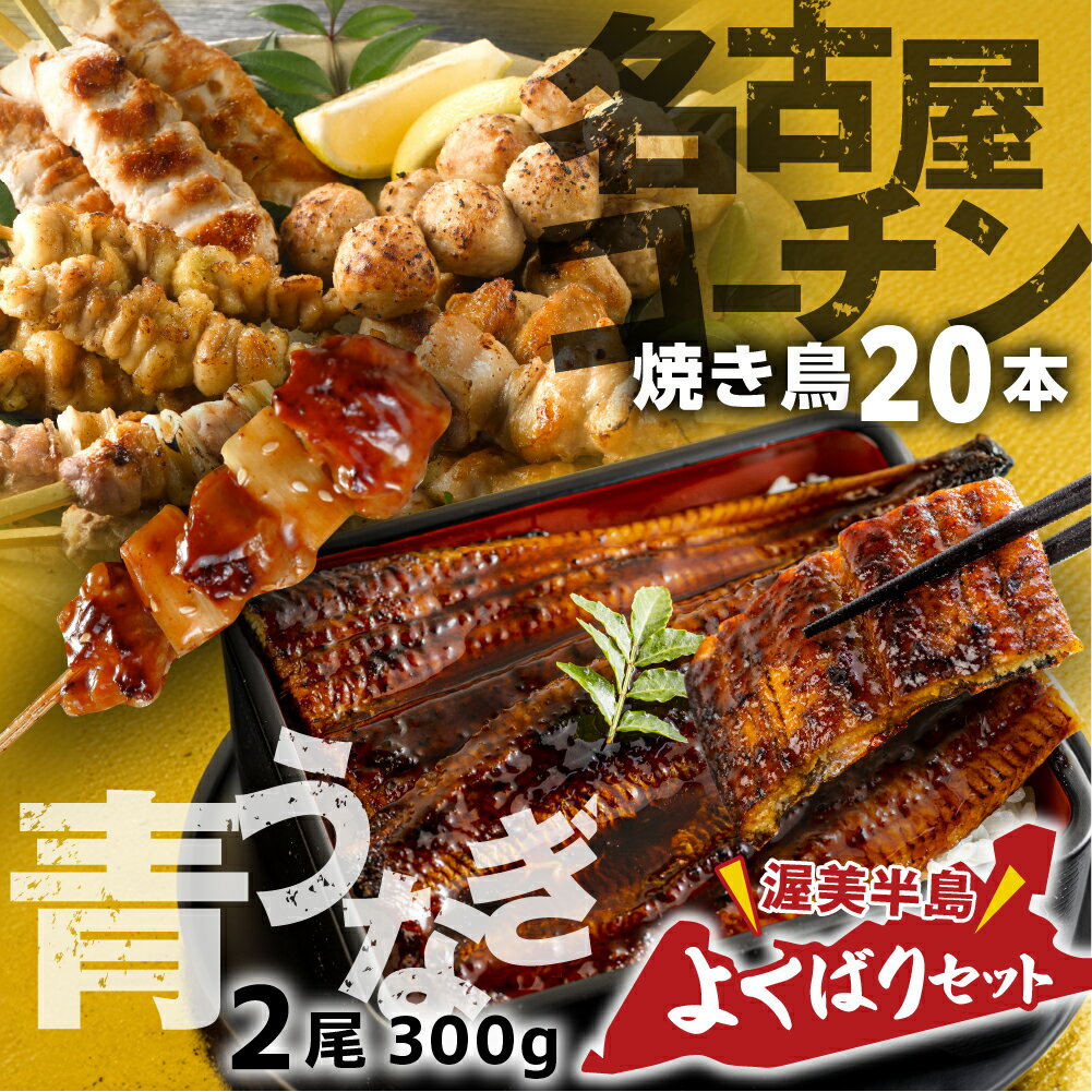 【ふるさと納税】＼大満足の★5／ 幻の青うなぎ ＆ 名古屋コーチン 焼き鳥 うなぎ 訳あり 蒲焼 2尾 鶏三和 名古屋コーチン 焼き鳥 5種盛り 20本鰻 蒲焼き 最高級 長蒲焼 特大サイズ 土用丑の日 簡単調理 惣菜 地鶏 焼鳥　 どうまい 定期便