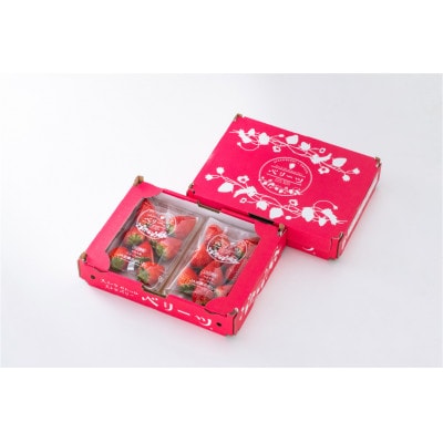 大分県産ベリーツ(270g×2パック)(日出町)【配送不可地域：離島・沖縄県】【1708986】