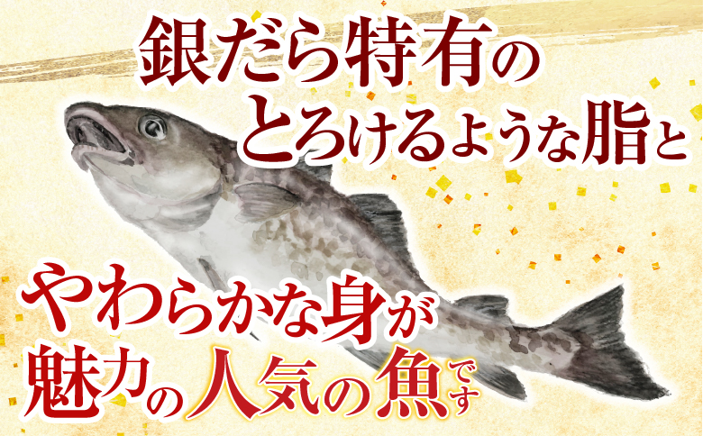 銀だら煮付け A-09023