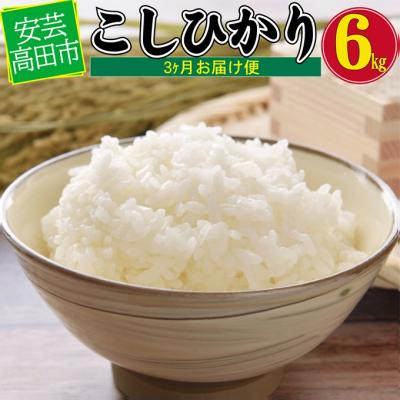 ふるさと納税 安芸高田市 米 【3ヶ月お届け】令和7年産　安芸高田市産コシヒカリ5kg 精米定期便 [No5895-0199]