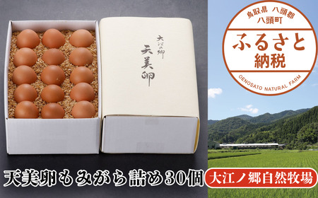 Y996 【平飼い】天美卵もみがら詰め30個【高級卵】《大江ノ郷自然牧場より直送》