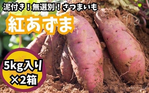 
										
										【さつまいも】紅あずま（泥付き無選別）10kg 2023/10/1～
									
