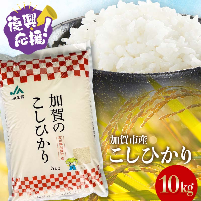 【ふるさと納税】【選べる配送月】 復興応援米 こしひかり 10kg 精米 令和7年産 先行予約10月から順次発送 銘柄米 お米 米 ギフト 贈り物 グルメ 食品 復興 震災 コロナ 能登半島地震 復興支援 北陸新幹線 F6P-2394var
