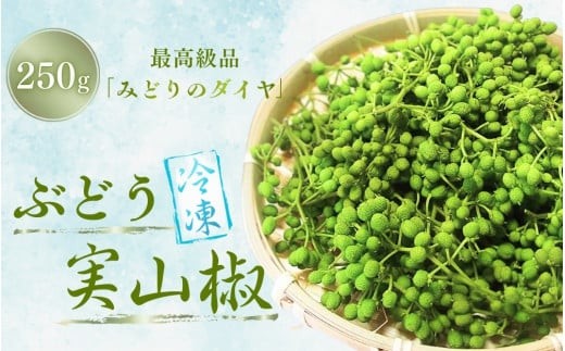 
                   冷凍 ぶどう 生実山椒 250g / 山椒 さんしょう 香辛料 調味料 薬味 冷凍 ぶどう山椒 生山椒 和歌山県 紀美野町 生実山椒【twn020A】
                