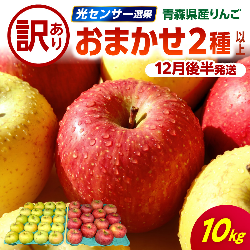 【2026年12月後半発送】 【訳あり】 りんご 約10kg 青森産 品種おまかせ2種以上